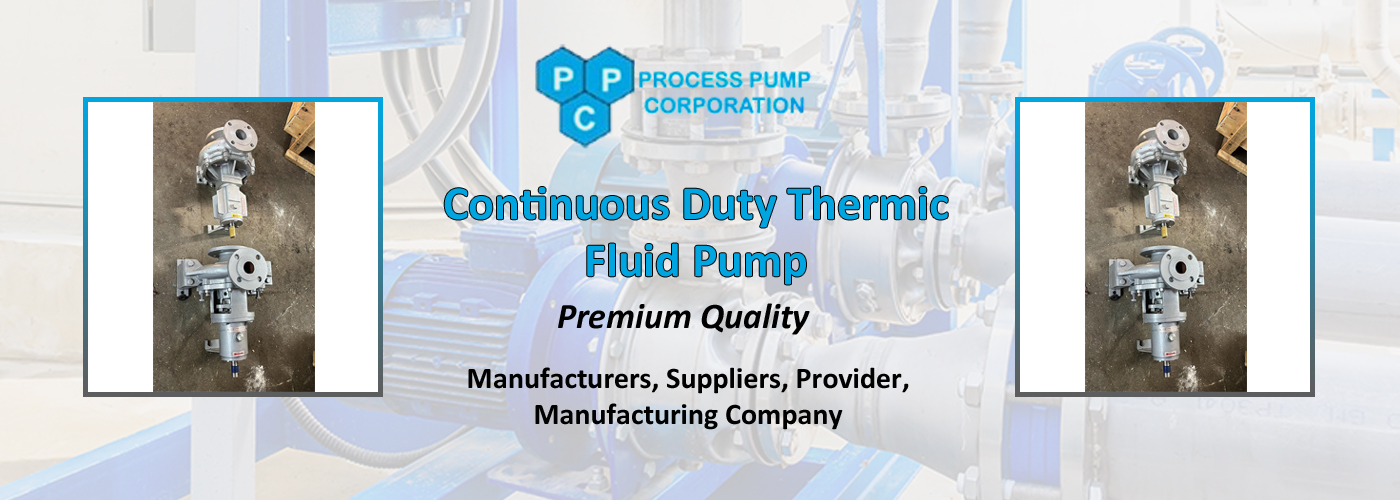 Continuous Duty Thermic Fluid Pump